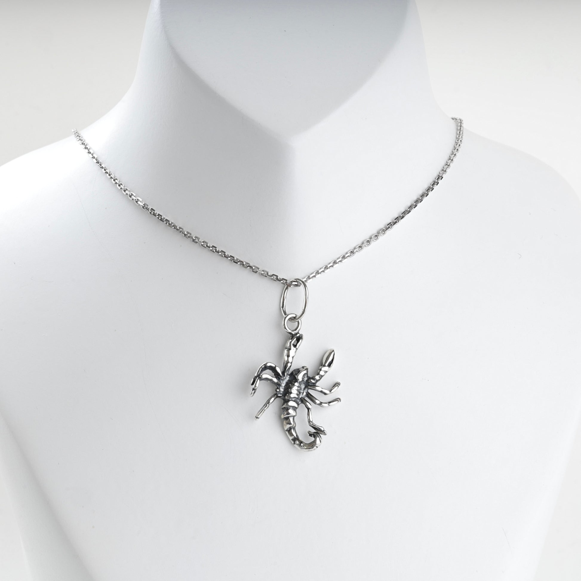 Polished scorpion pendant with dark recessed details