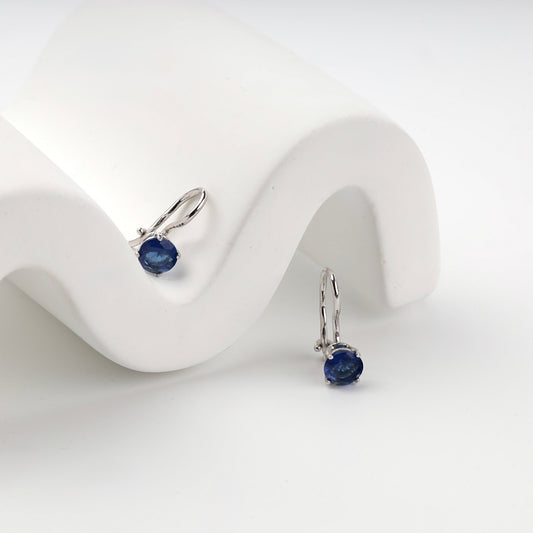 Blue cubic zirconia hook earrings on a white display