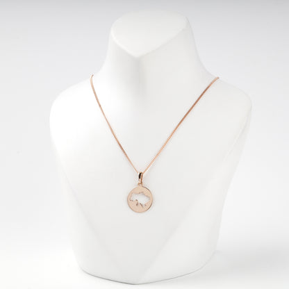 Rose Gold 14K Ukraine silhouette pendant, polished disc detail