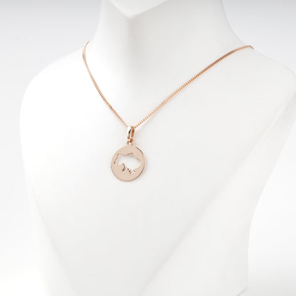 Rose Gold 14K Ukraine map pendant, side view