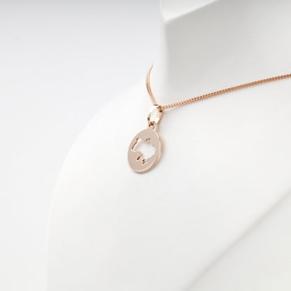 Rose Gold 14K Ukraine map pendant, reverse view