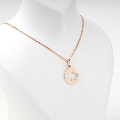 Rose Gold 14K circular Ukraine map pendant, angled view
