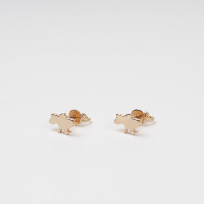 Ukraine Map Rose Gold Stud Earrings - Side View | Jewelry Store Kabluchka