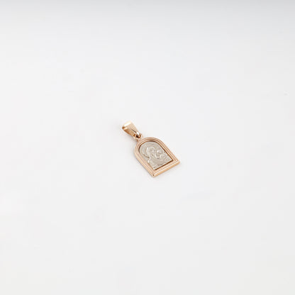 Two-tone gold 14K Virgin Mary and Child pendant, front view