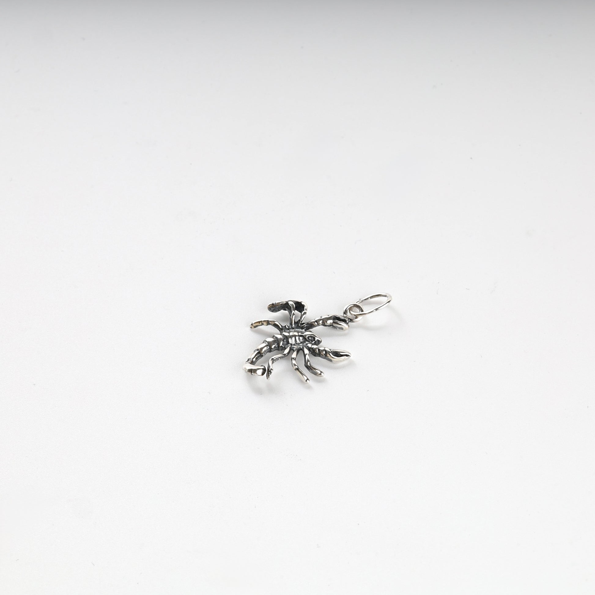 Silver 925 scorpion pendant shown with a styling chain